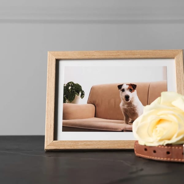 A memorial urn keepsake for a beloved pet